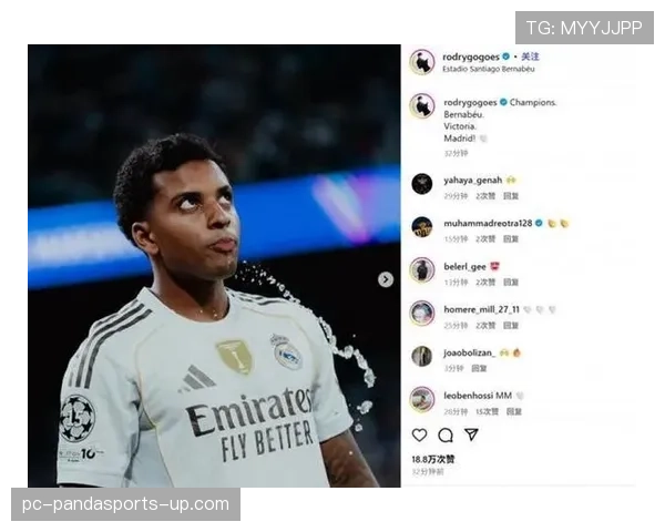 罗德里戈欧冠冠军贡献度与生涯荣誉解析