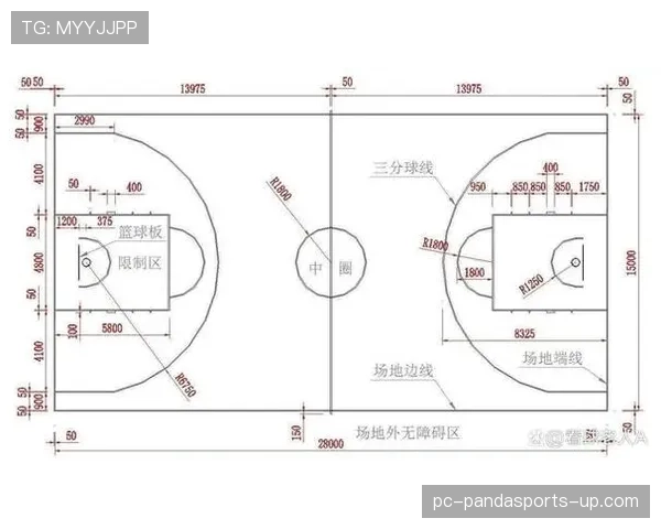罚球规则 NBA 与 FIBA 区别究竟有哪些详细解析